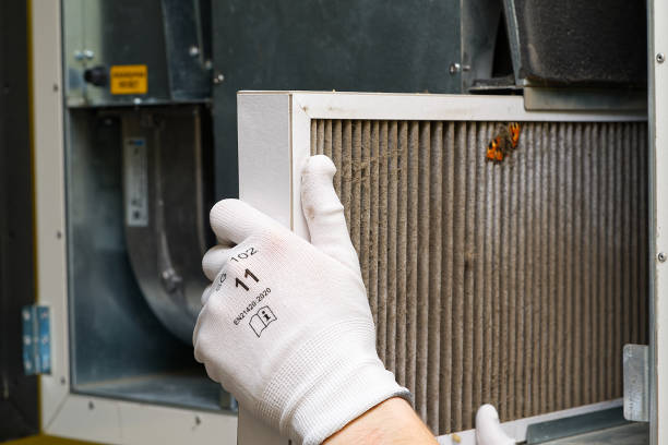 Best Home Air Vent Cleaning  in Pleasureville, KY