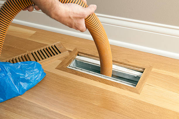 Best Professional Duct Cleaning Services  in Pleasureville, KY