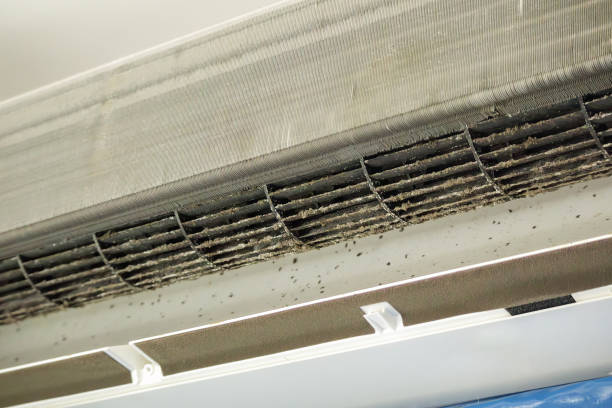 Best Residential Air Duct Cleaning  in Pleasureville, KY