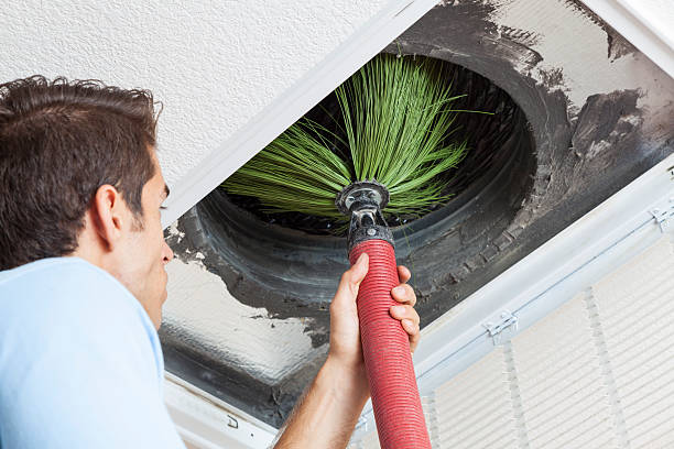 Best Affordable HVAC Duct Cleaning  in Pleasureville, KY